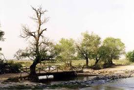 Puente del Ajolí