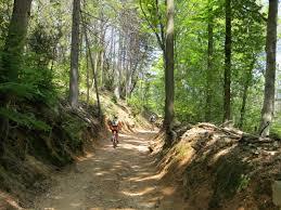 Parco delle Cinque Vette