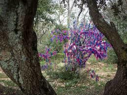 La Forêt Enchantée