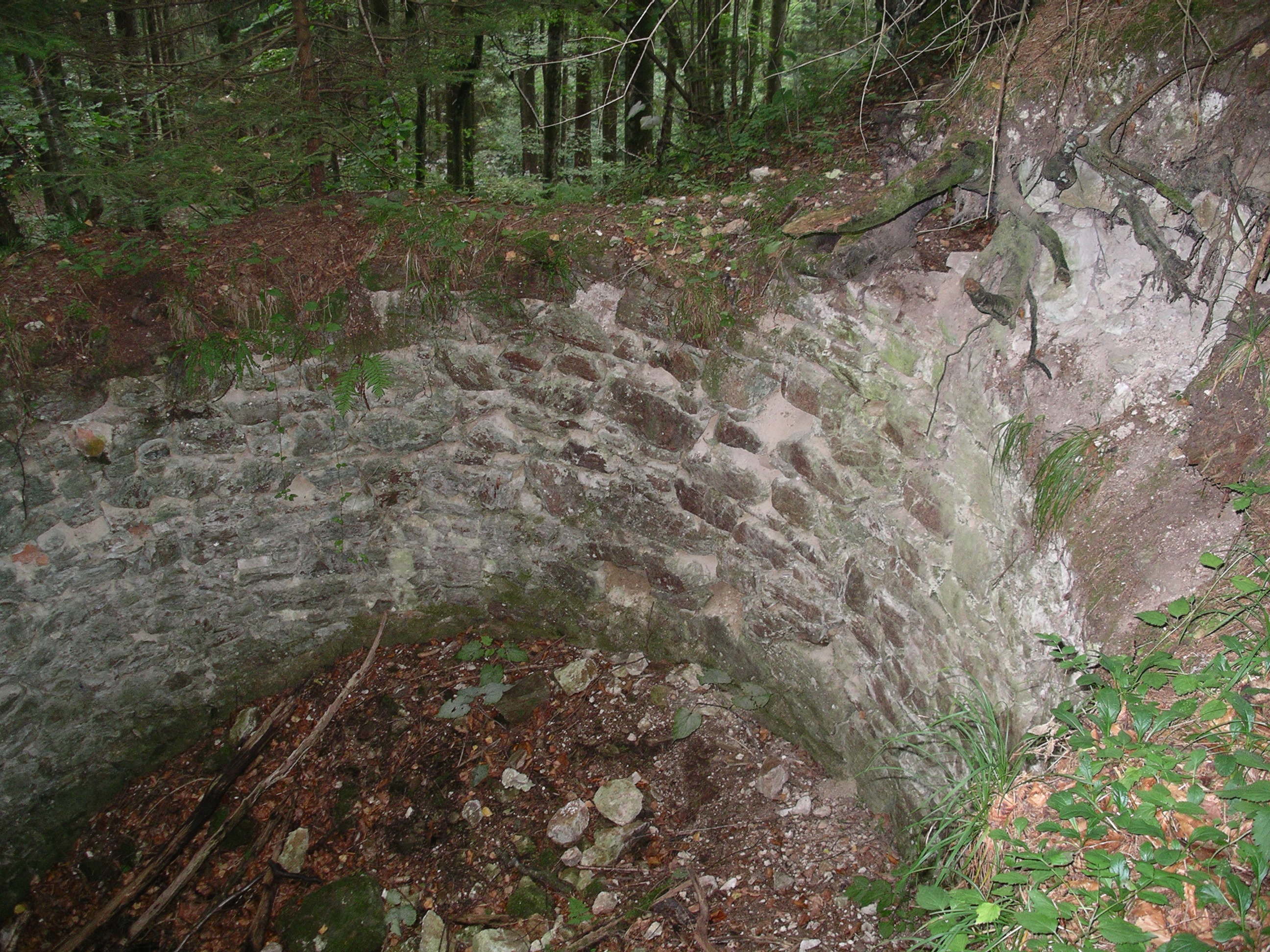 Ruine Königstein