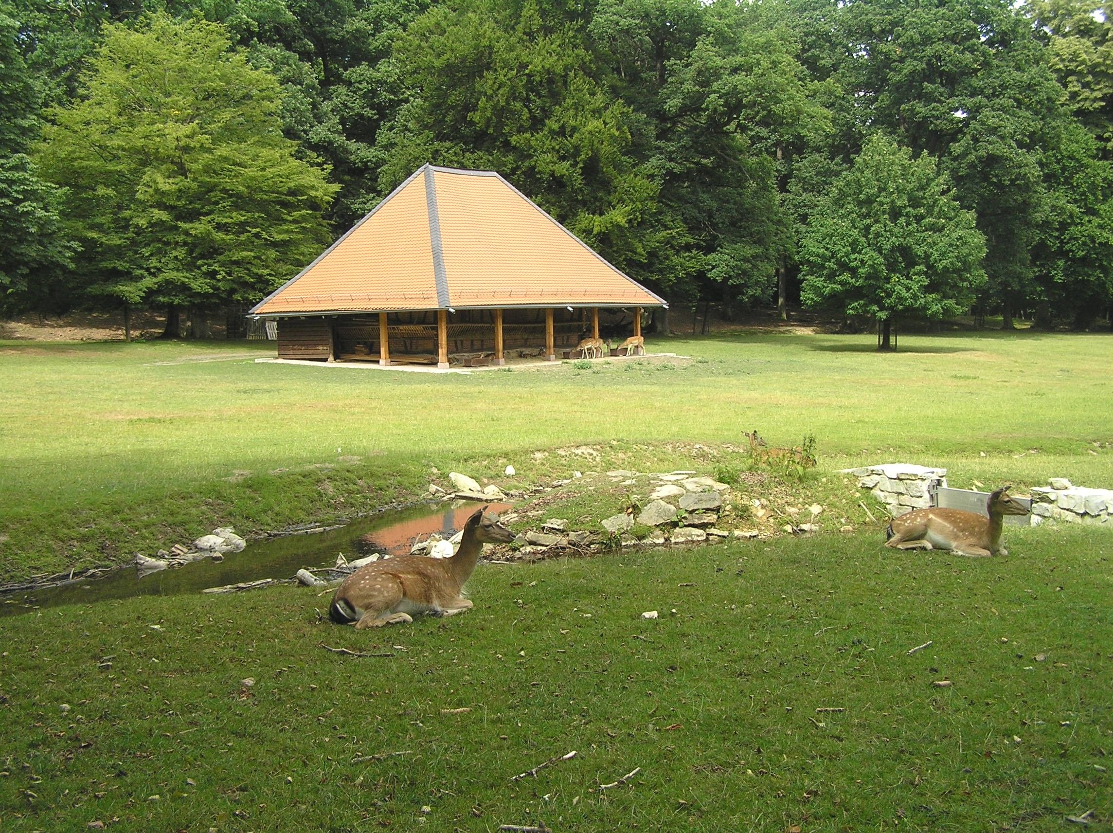 Hirschgarten