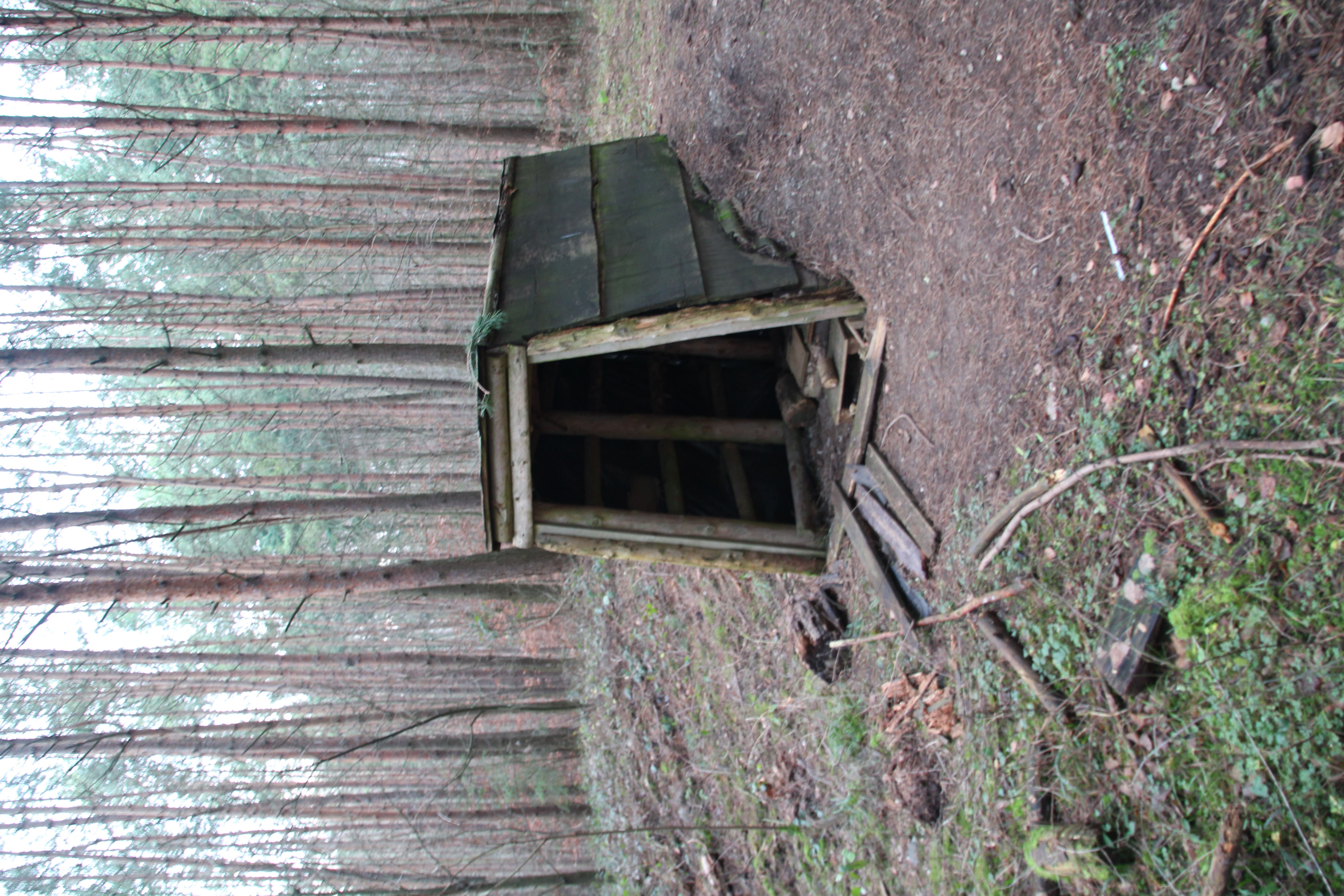 Grube Friedberg