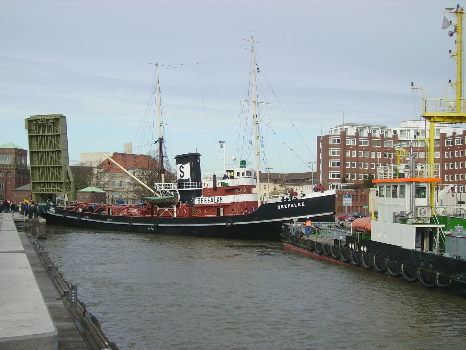 Seefalke