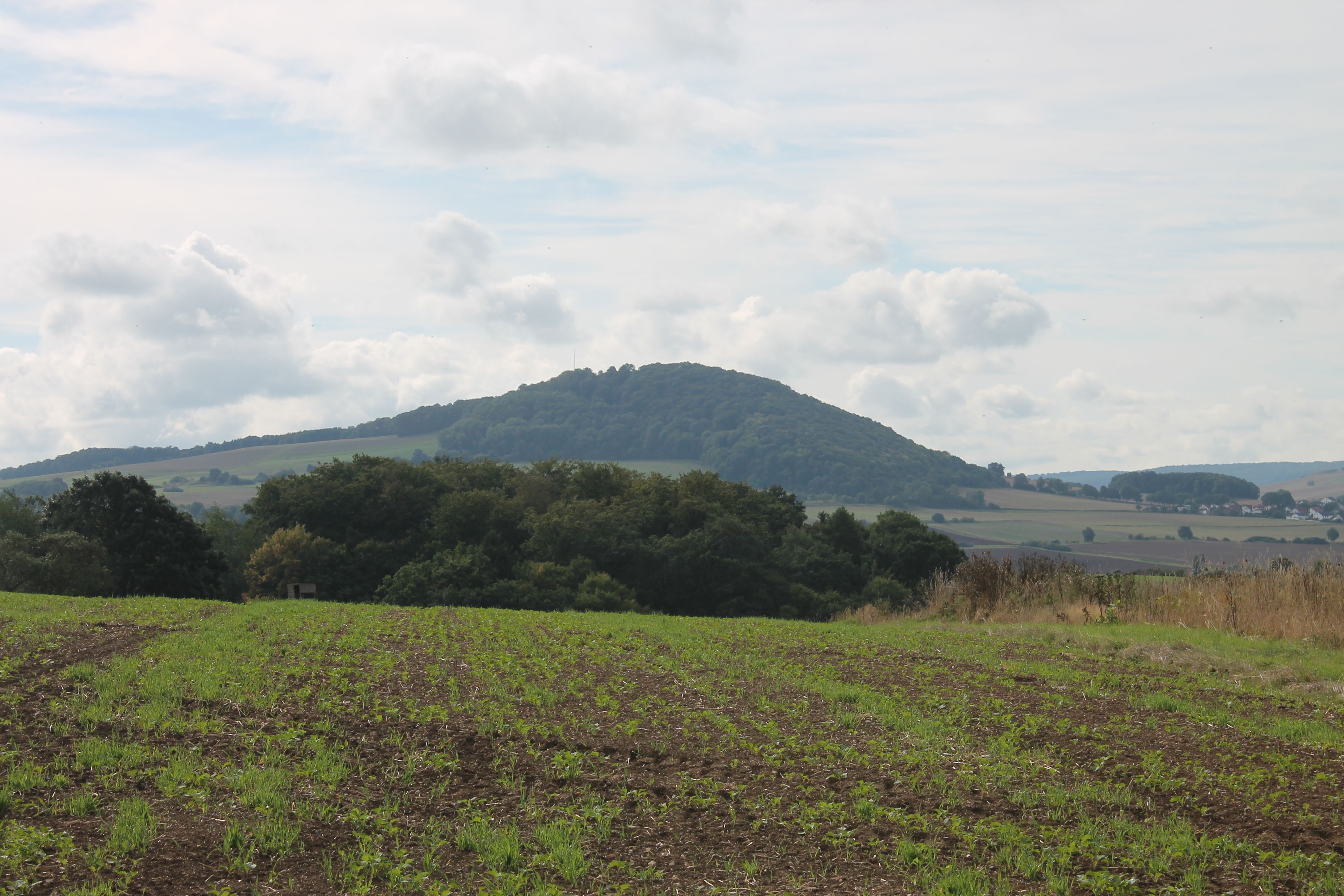 Burg Heiligenburg