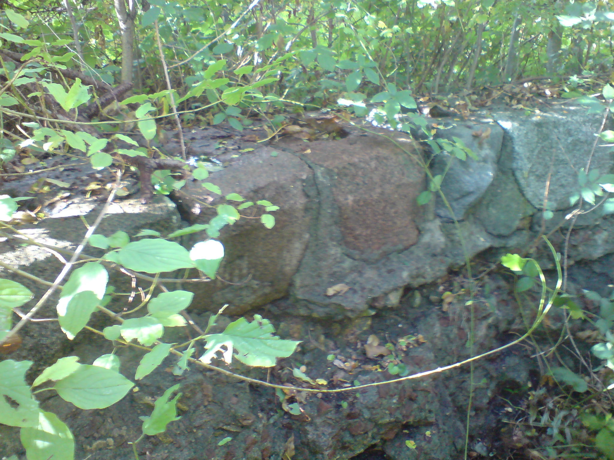 Schwedenschanze
