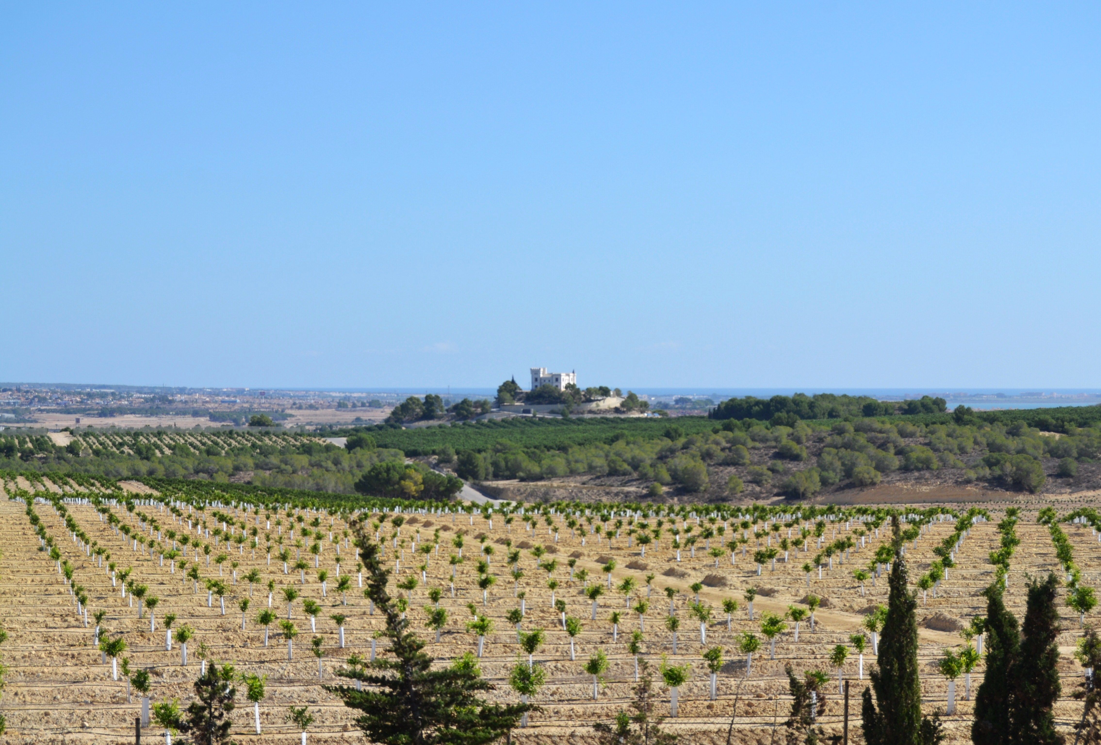 Castillo de Montemar
