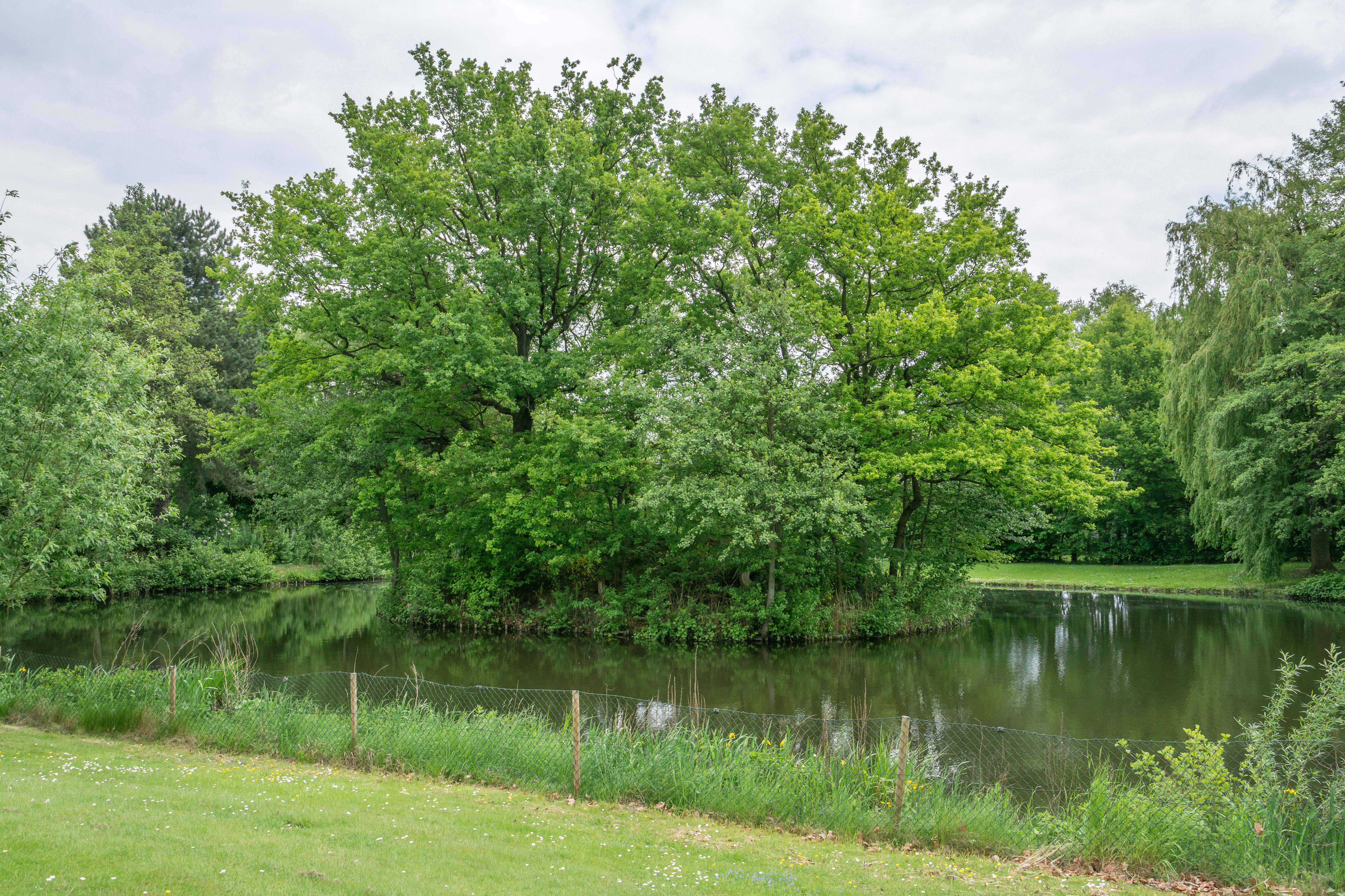 Motte Kurtekotten