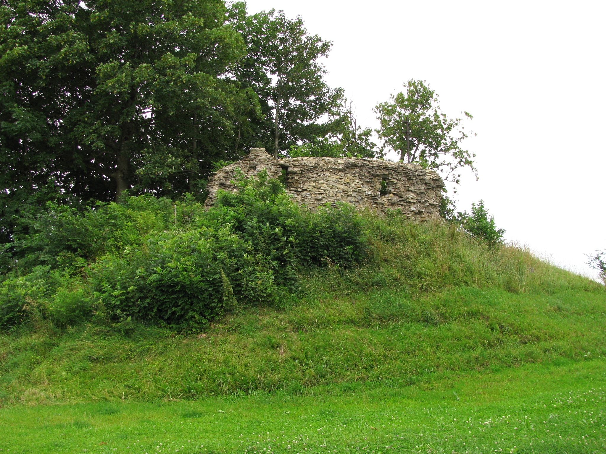Burg Schöneberg