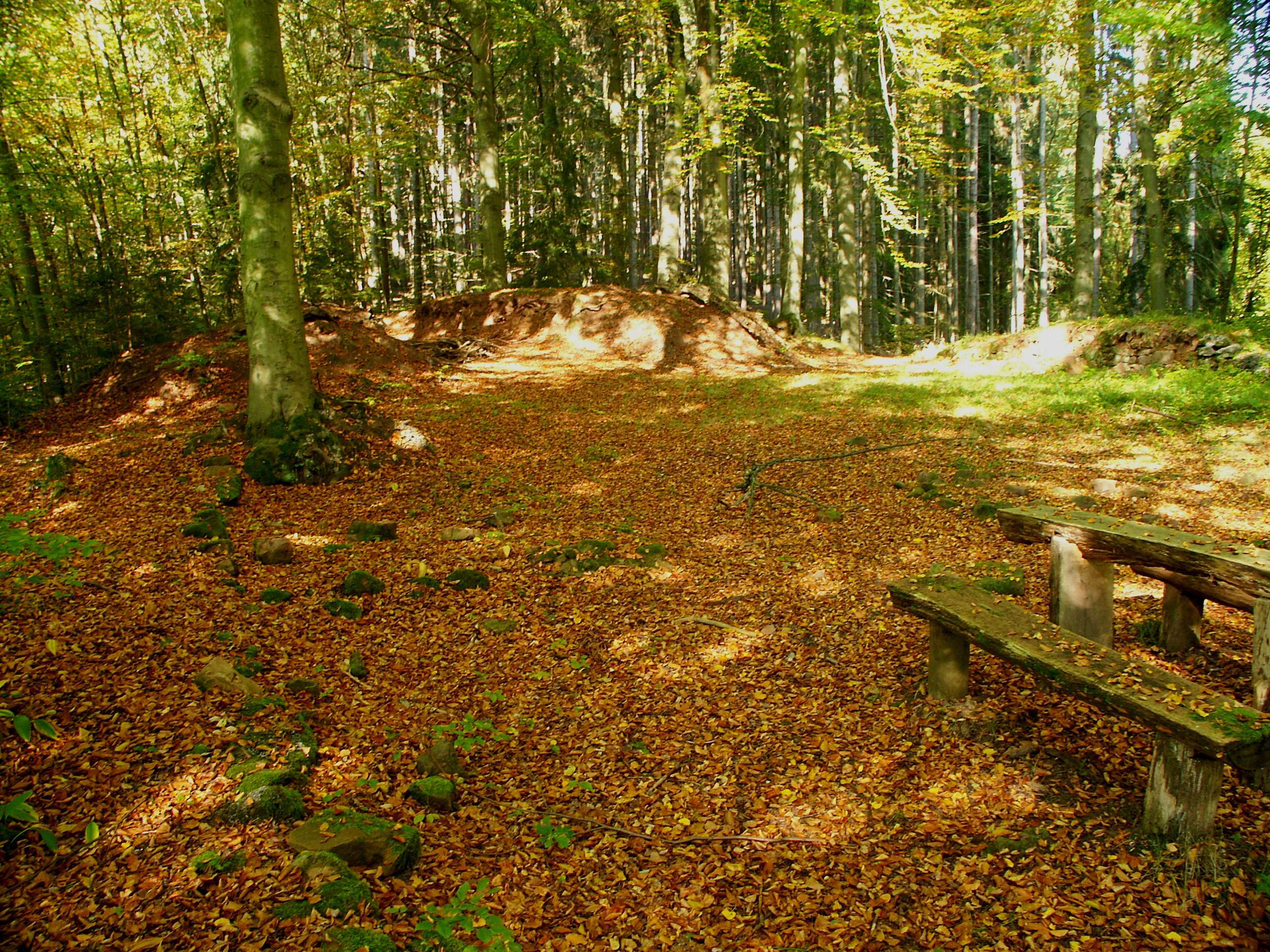 Burgruine Milnrode