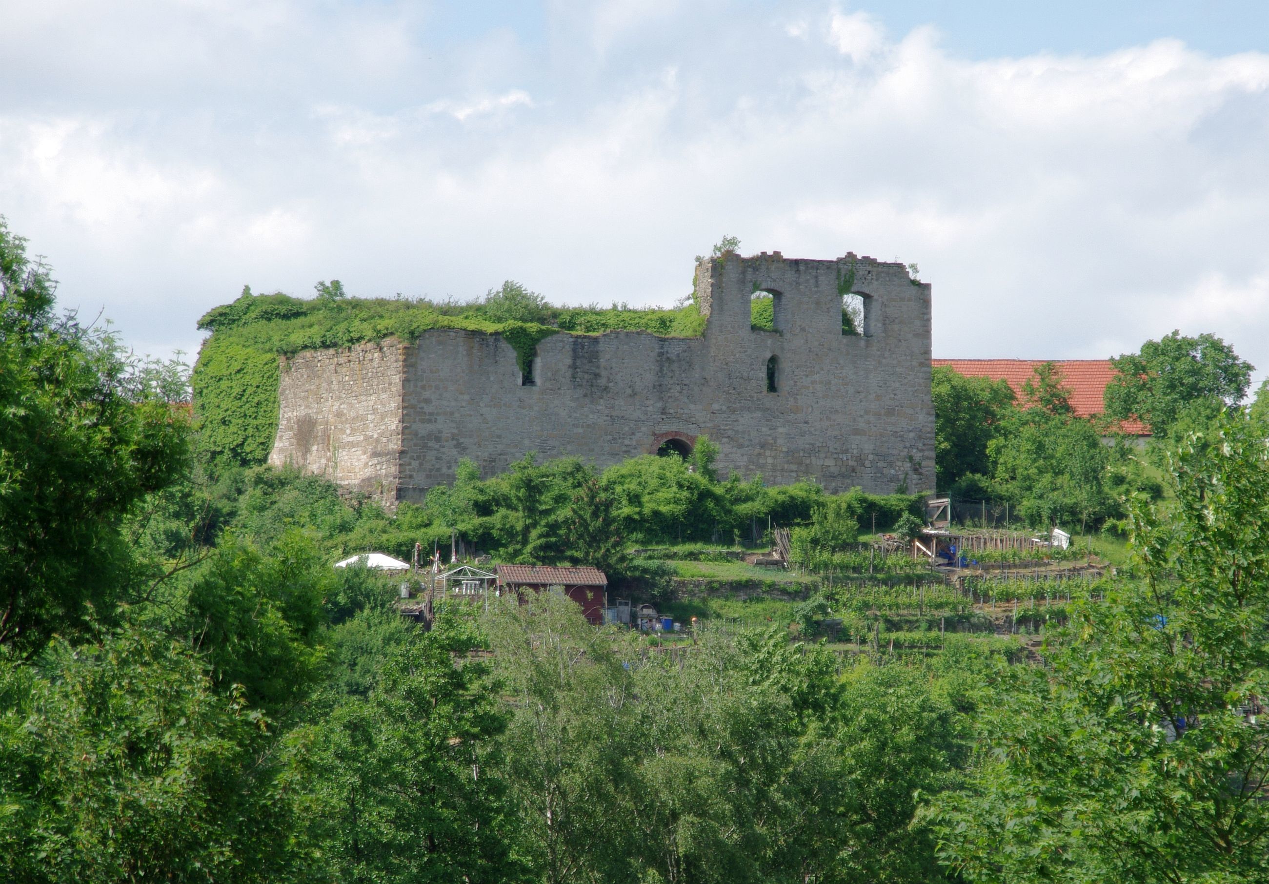Altsachsenheim