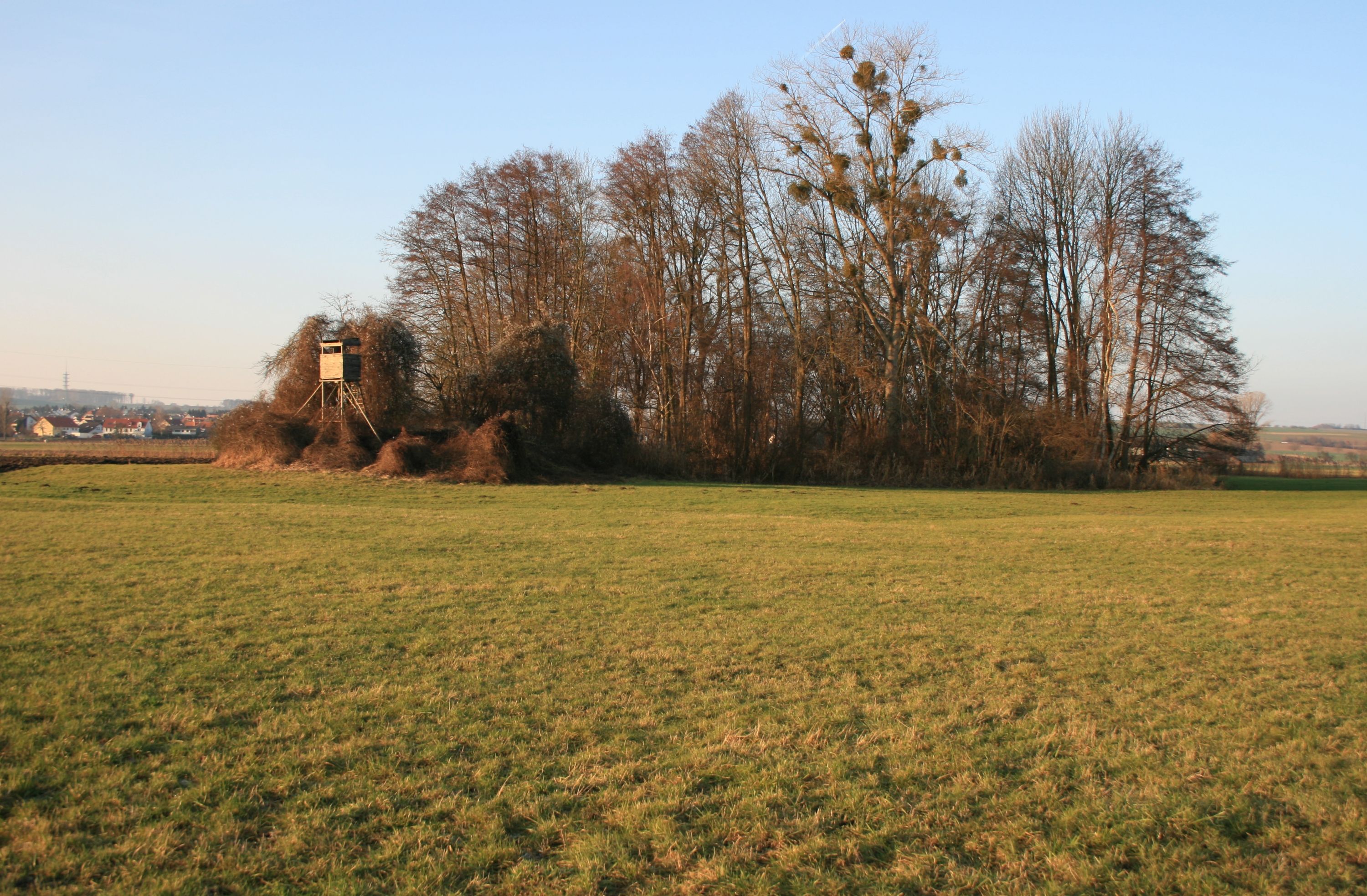 Burg Wachenbuchen