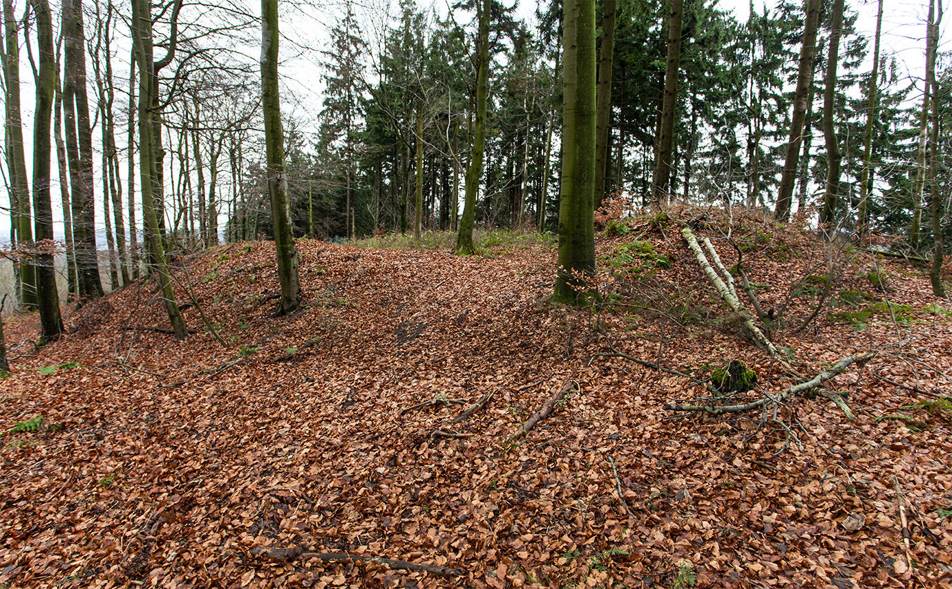 Polackenschanze