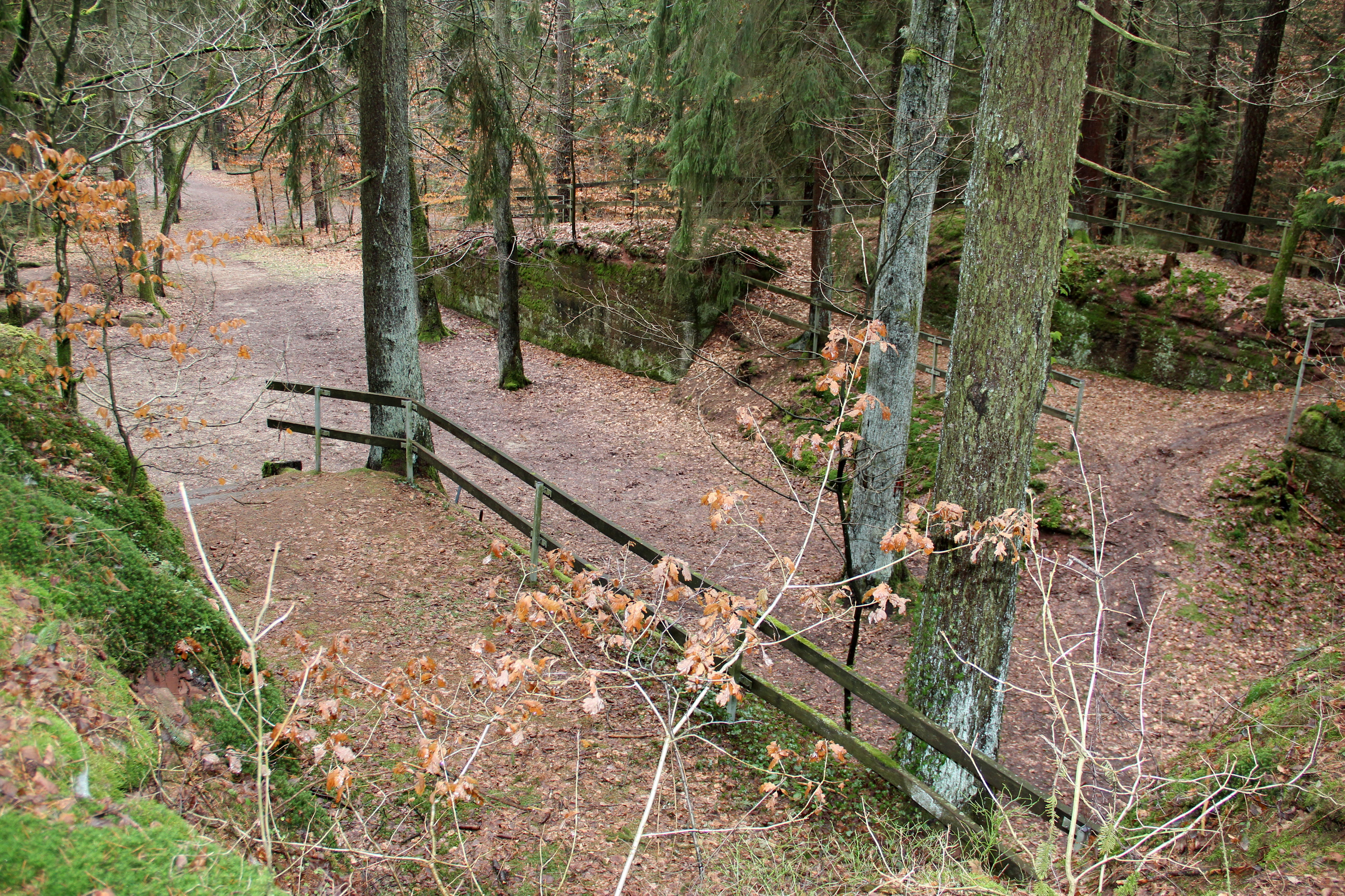 Felsenkeller Fischbach