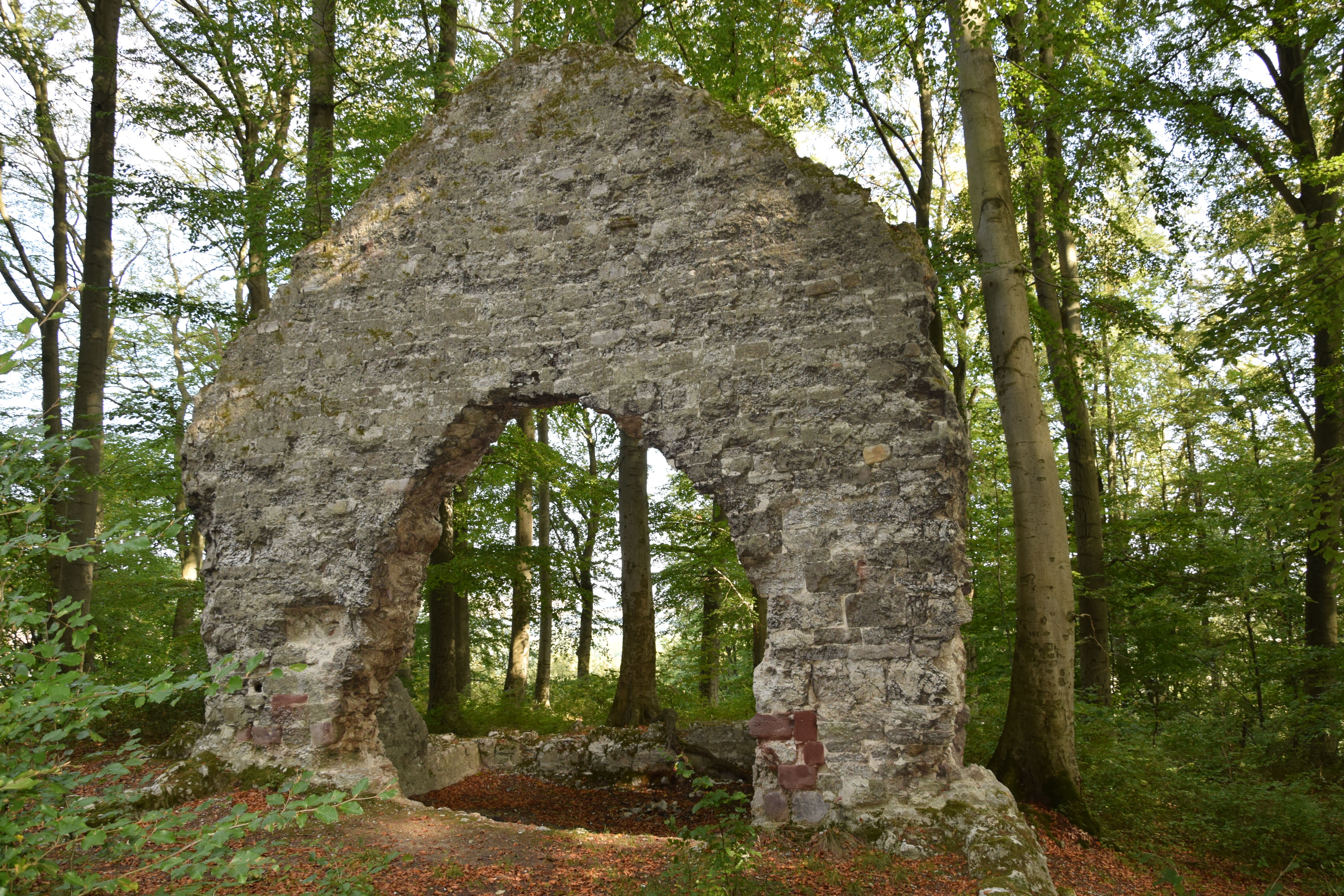 Grasburg