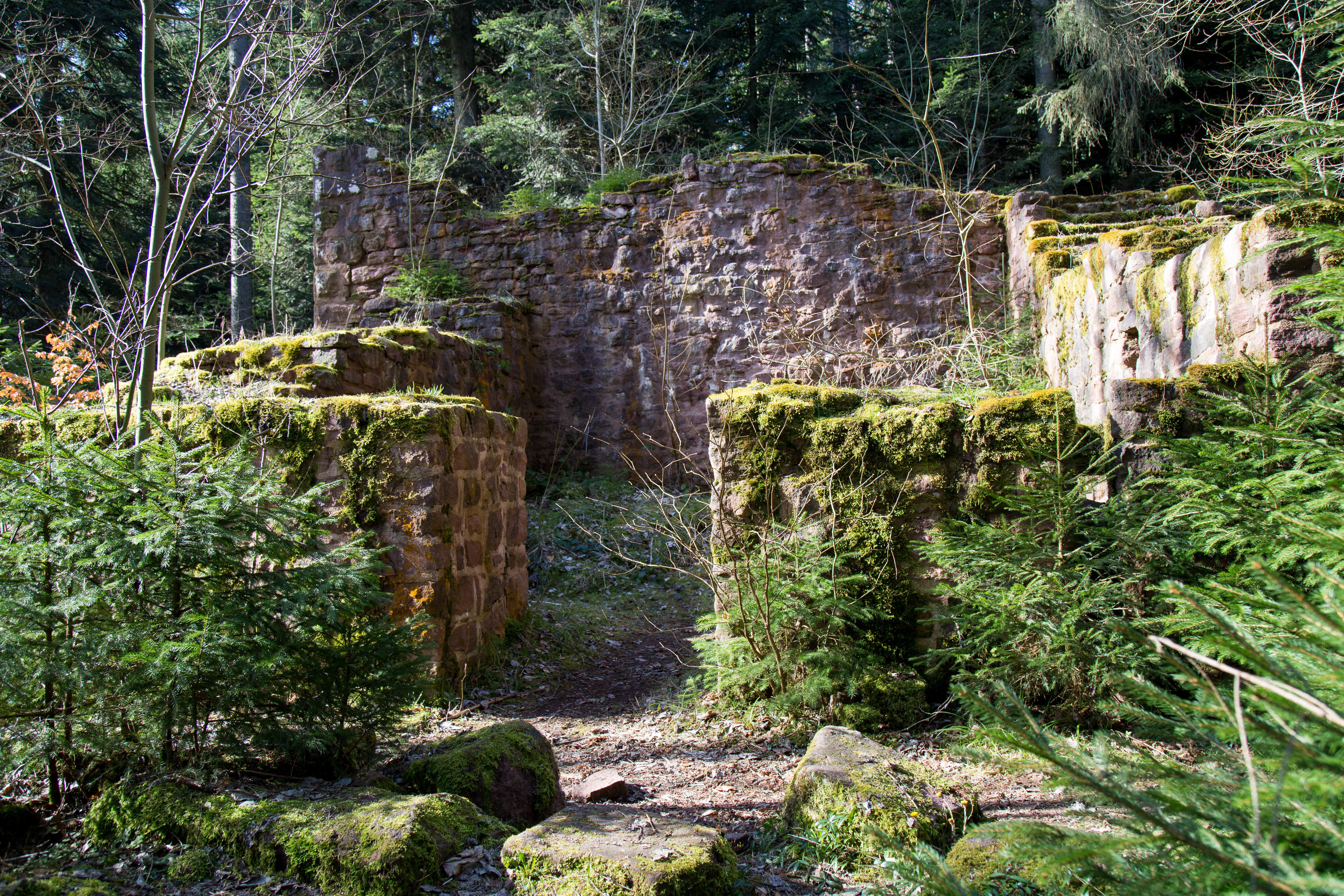 Burg Rüdenberg