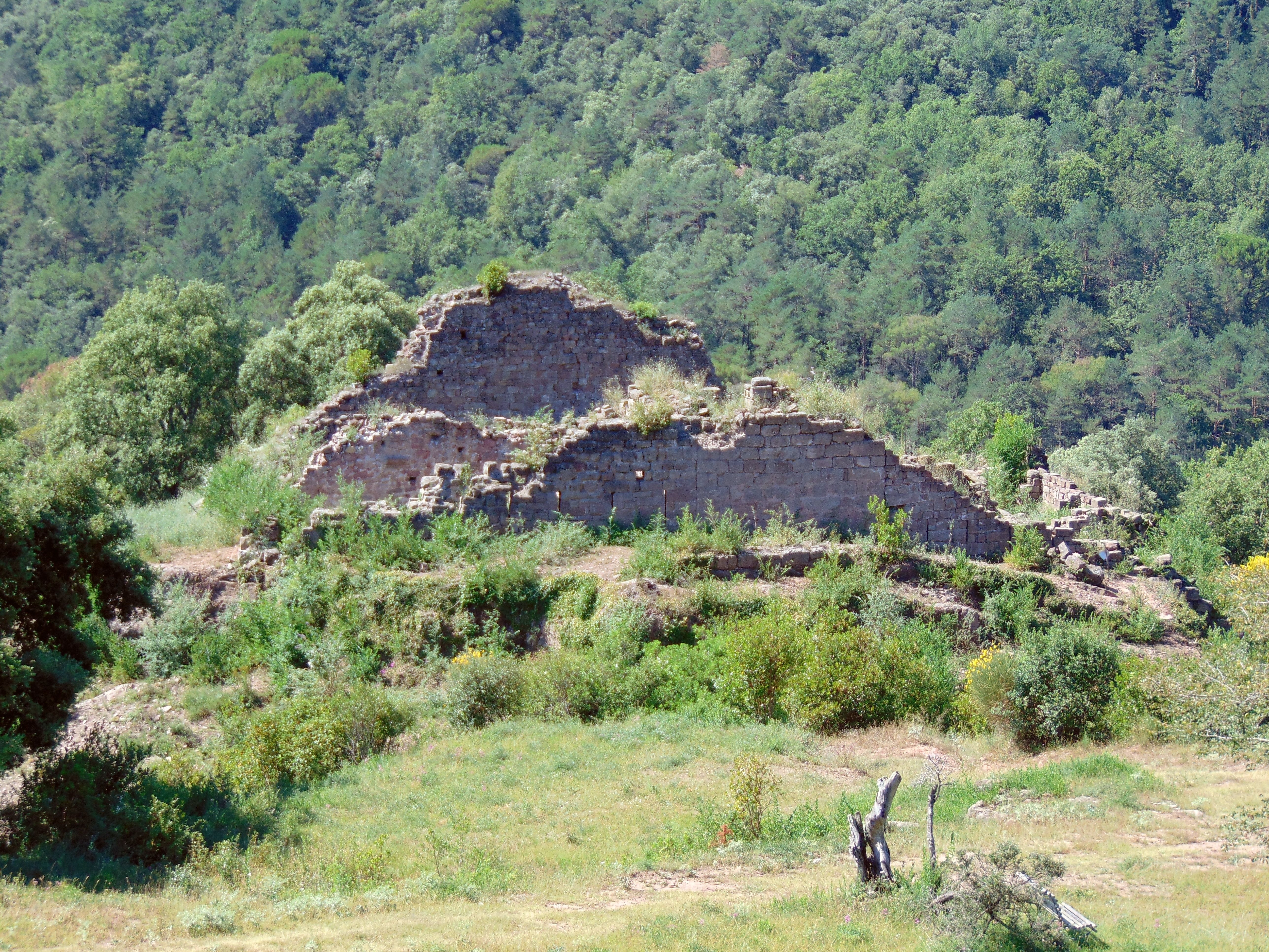 Castillo de la Miana