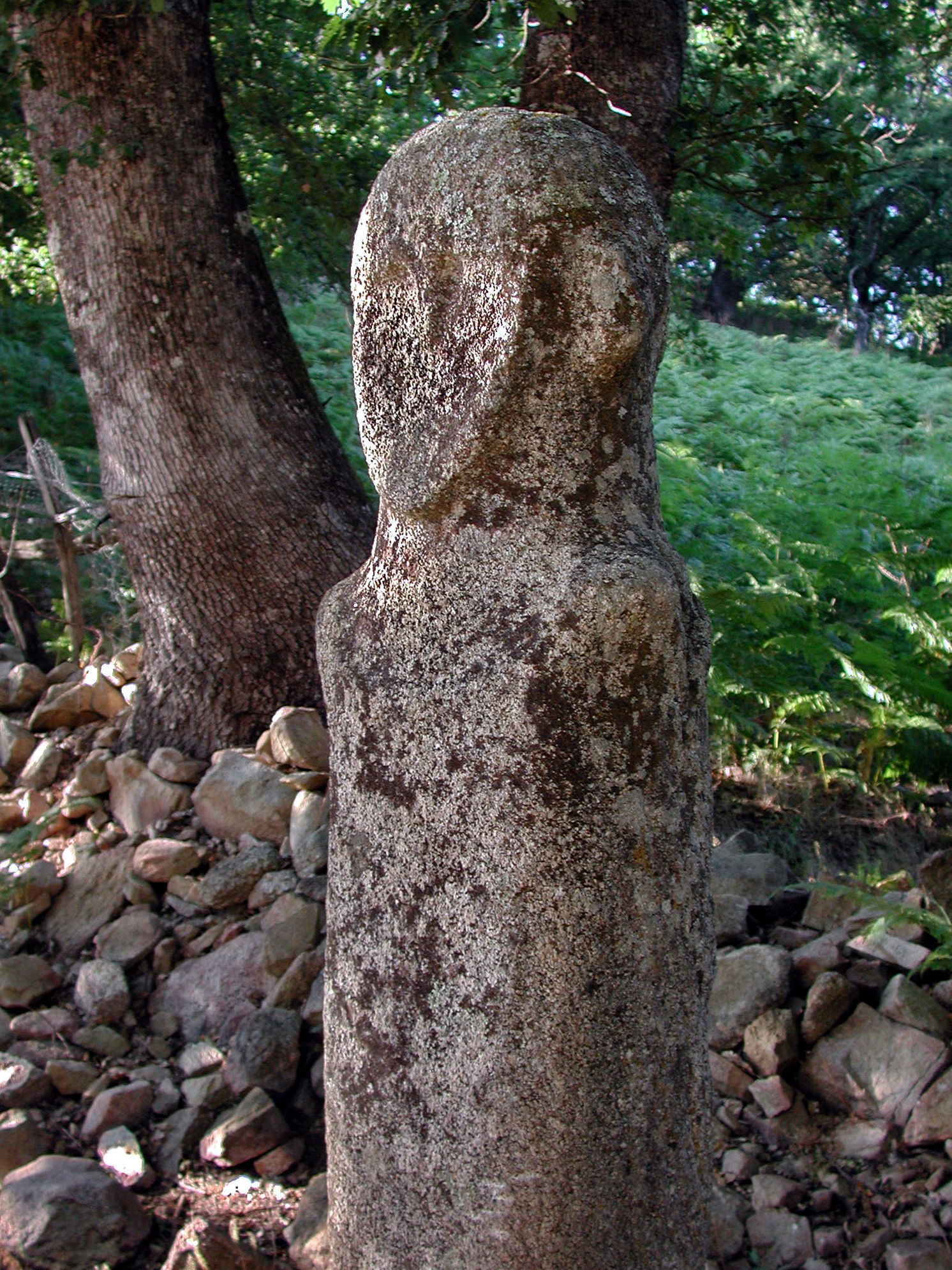 statue-menhir de Tavera