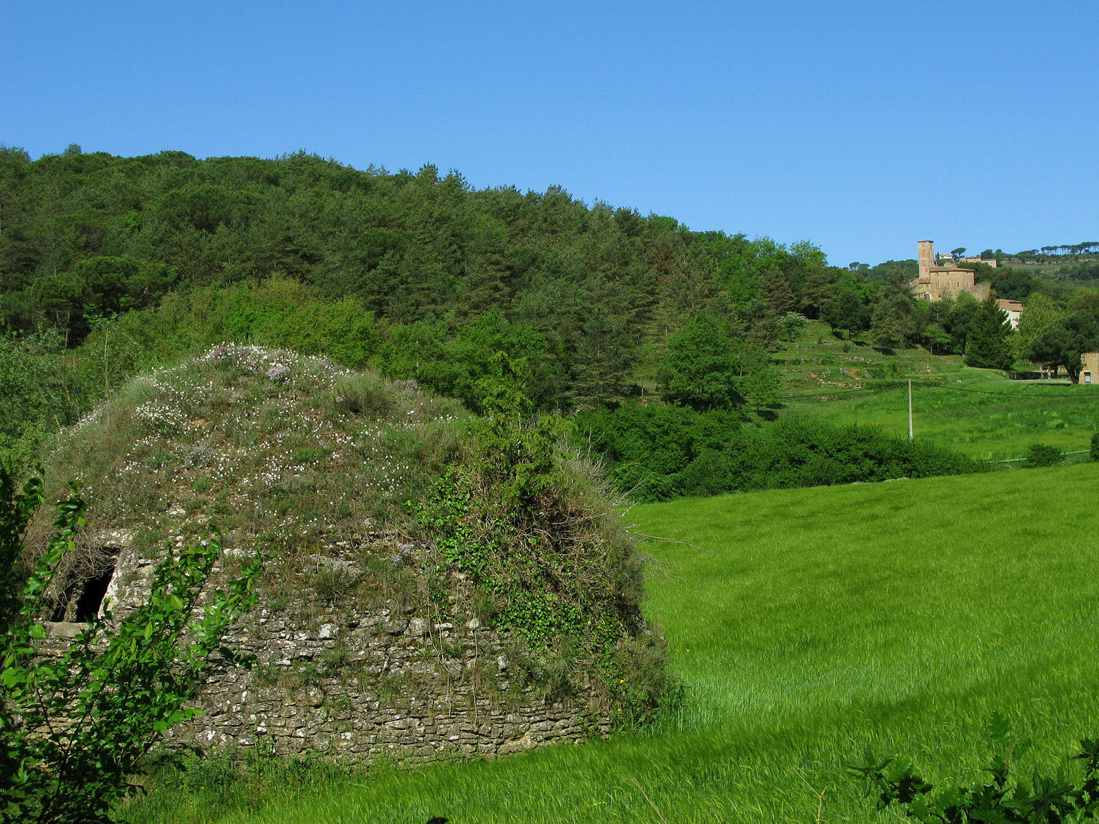 Poua Cal Revitllat