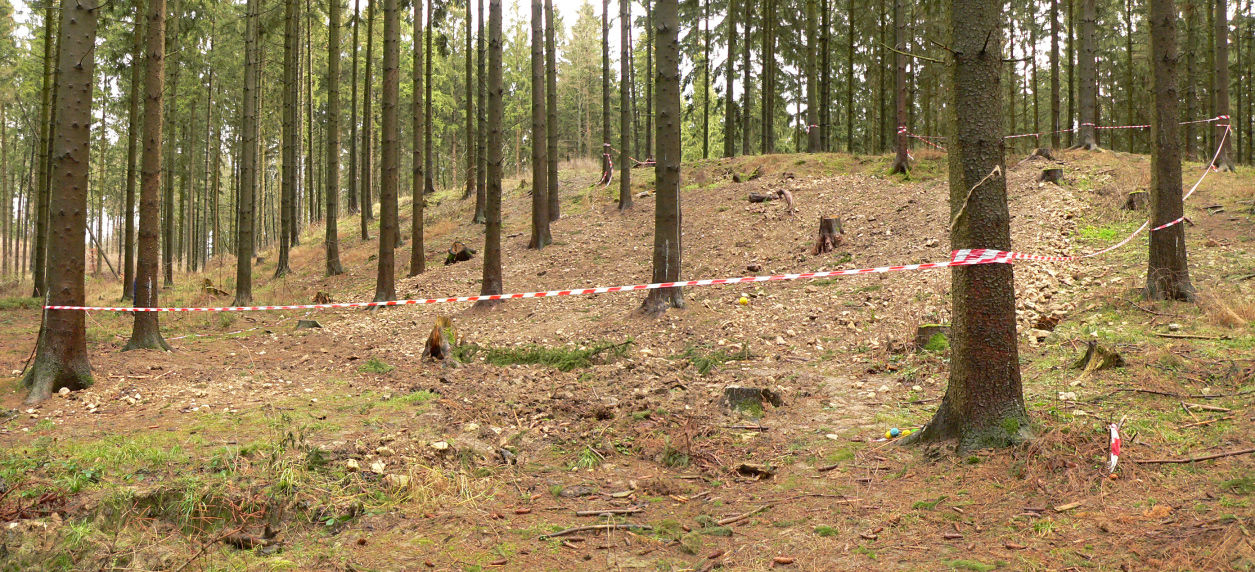 Schlacht auf dem Harzhorn