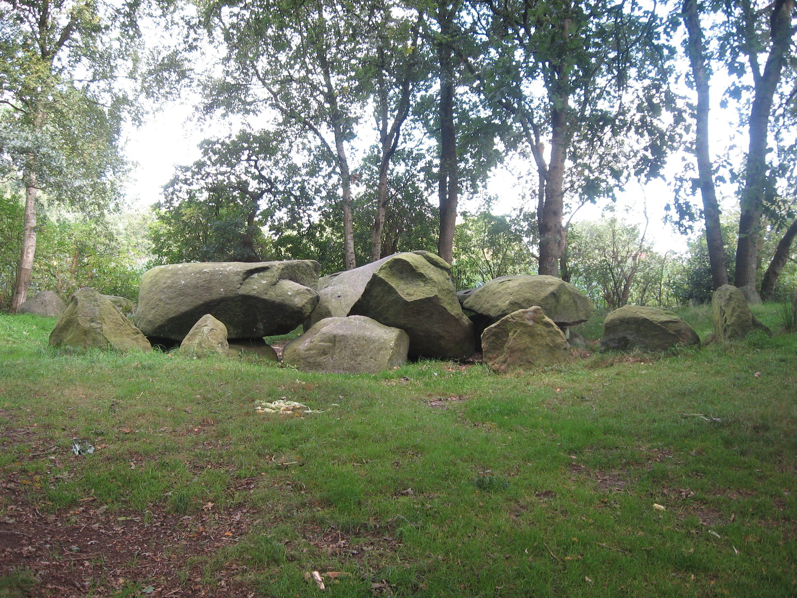 Bülzenbett