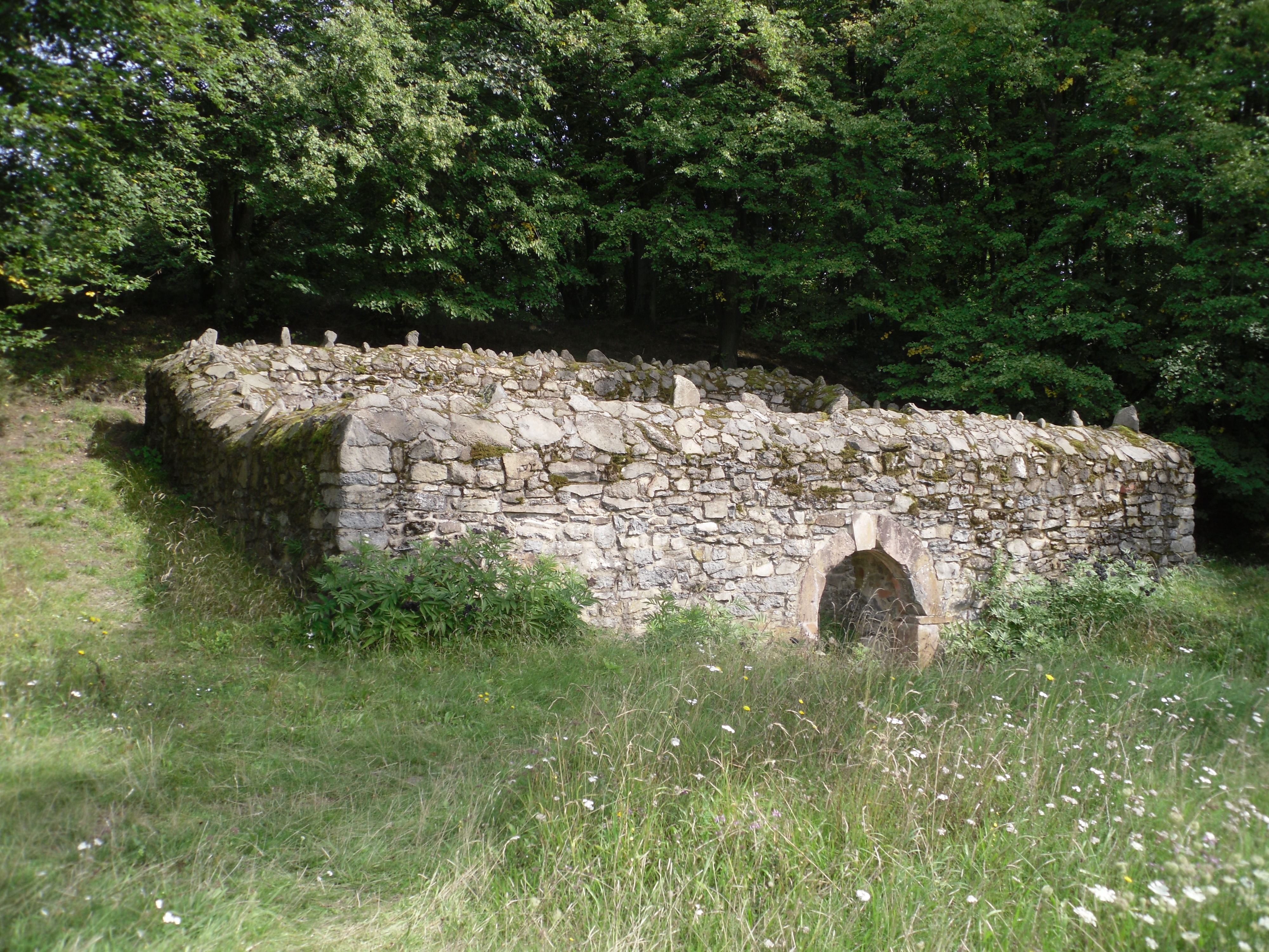 Burg Glauburg