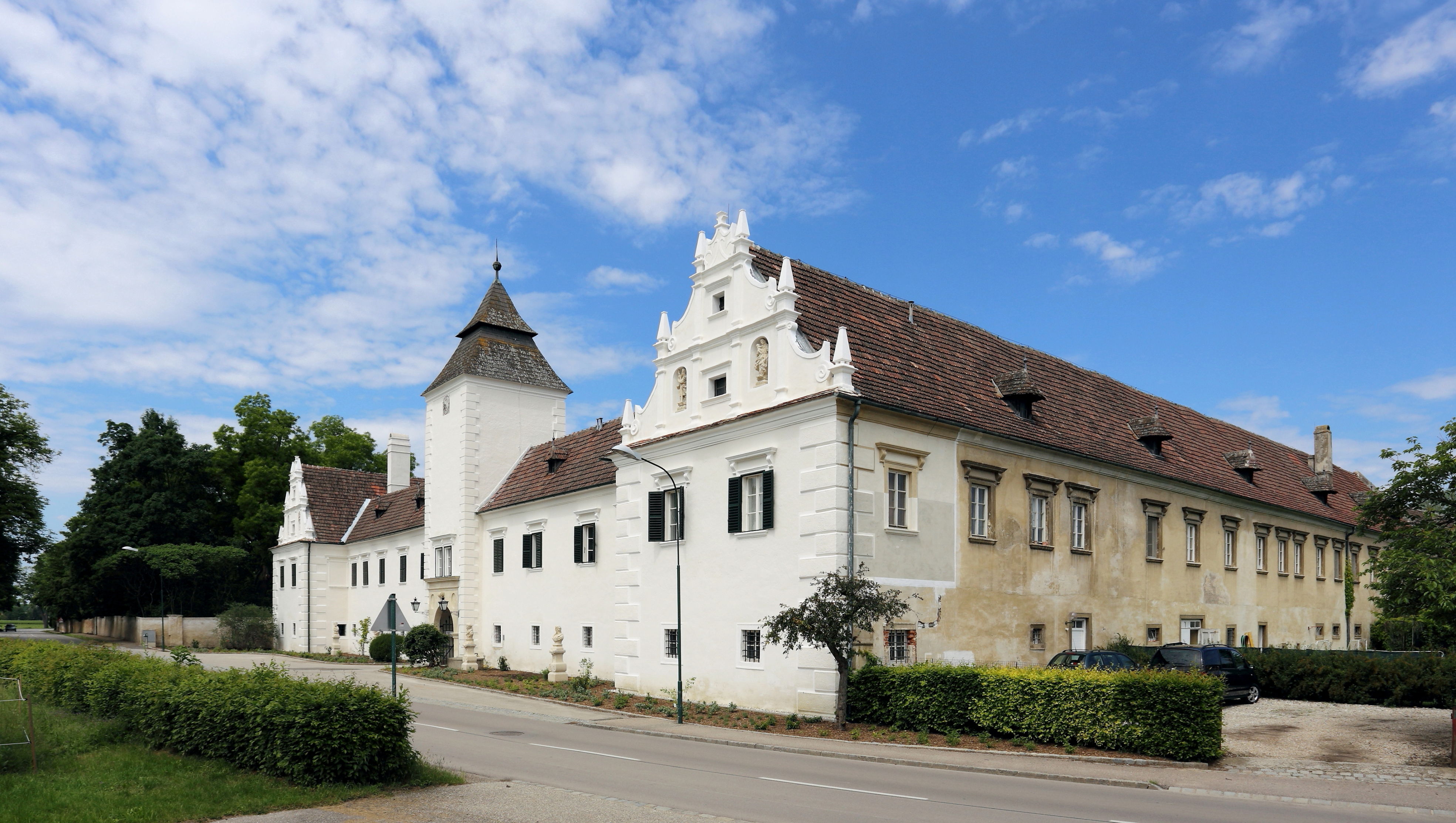 Neuaigen