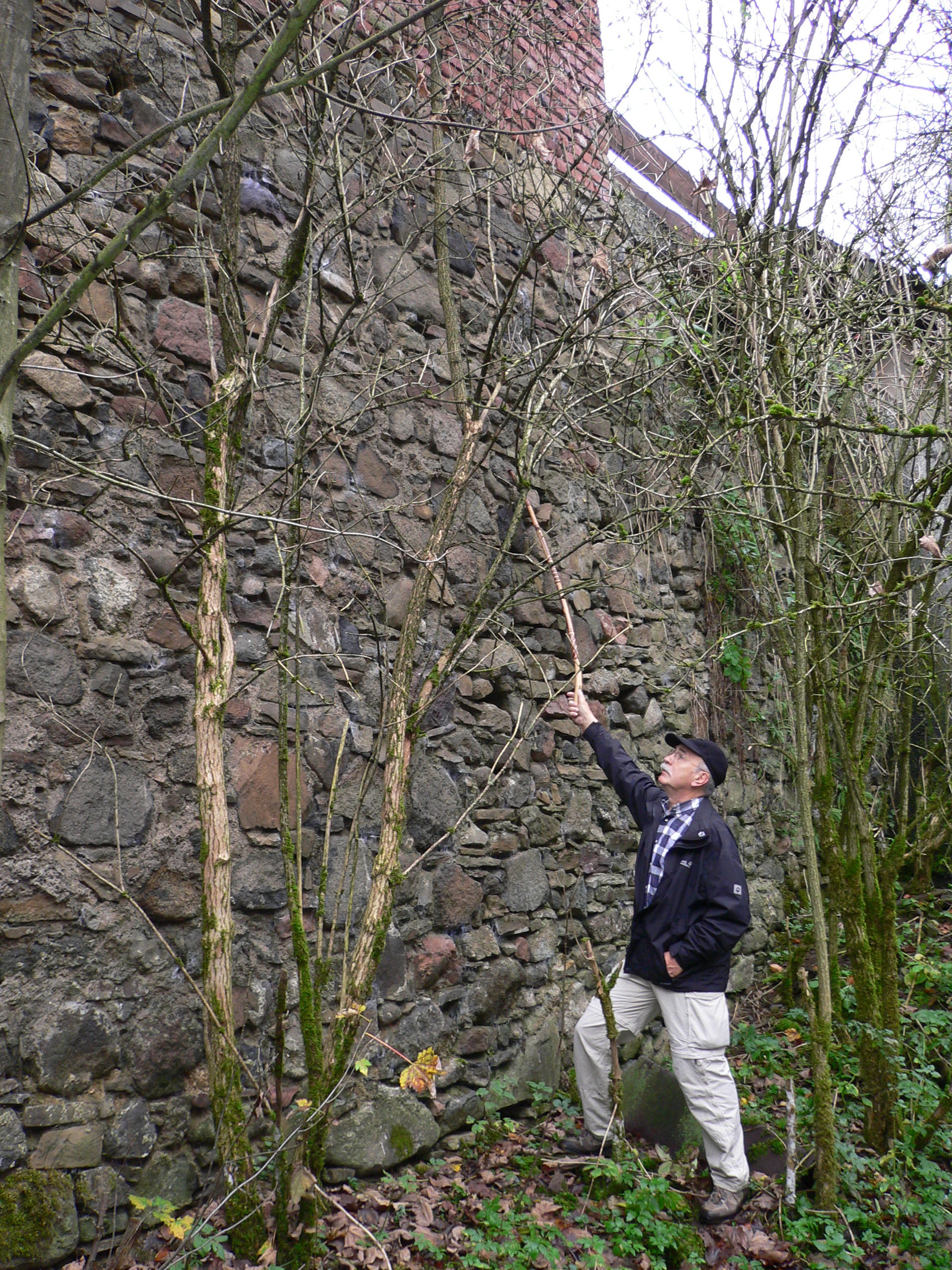 Burg Neu-Dernbach