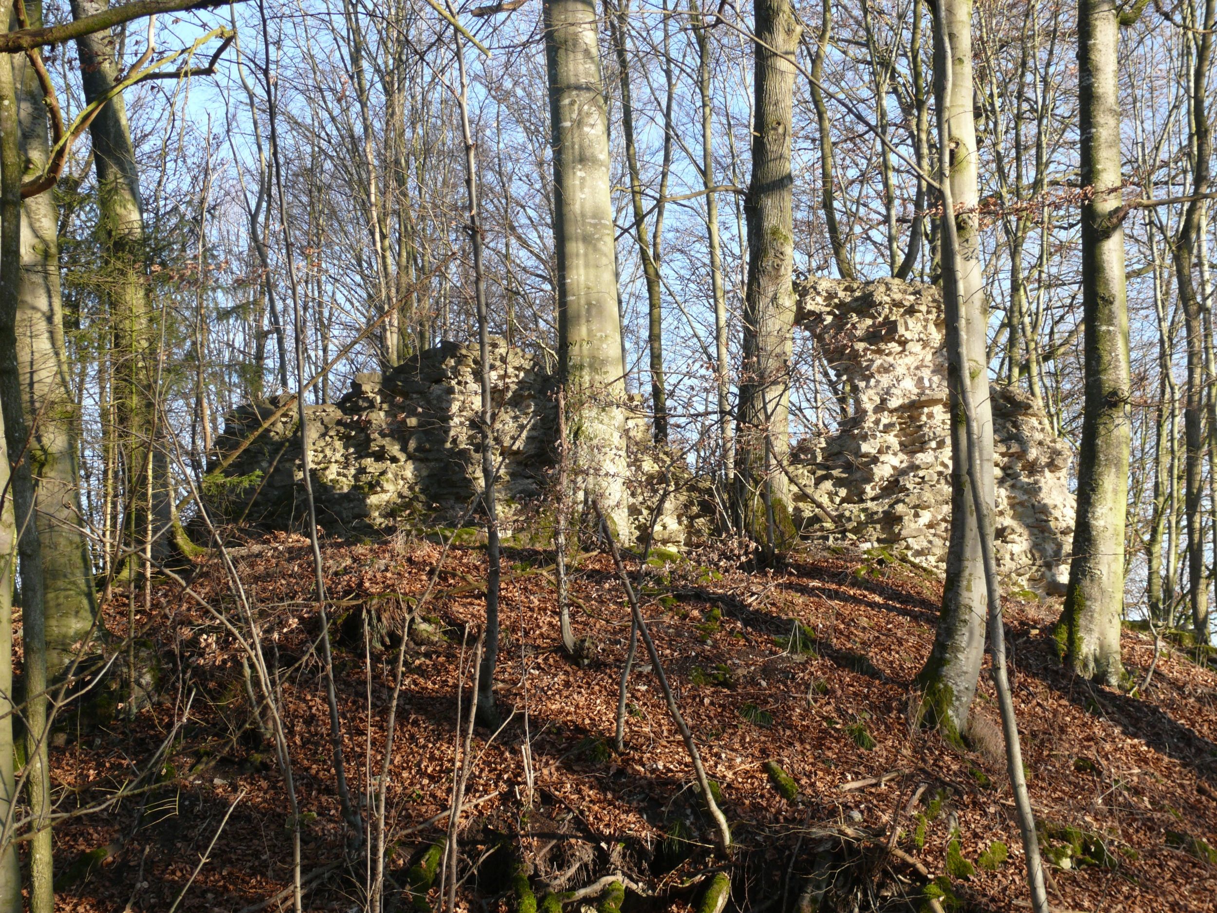 Burgruine Werdeck