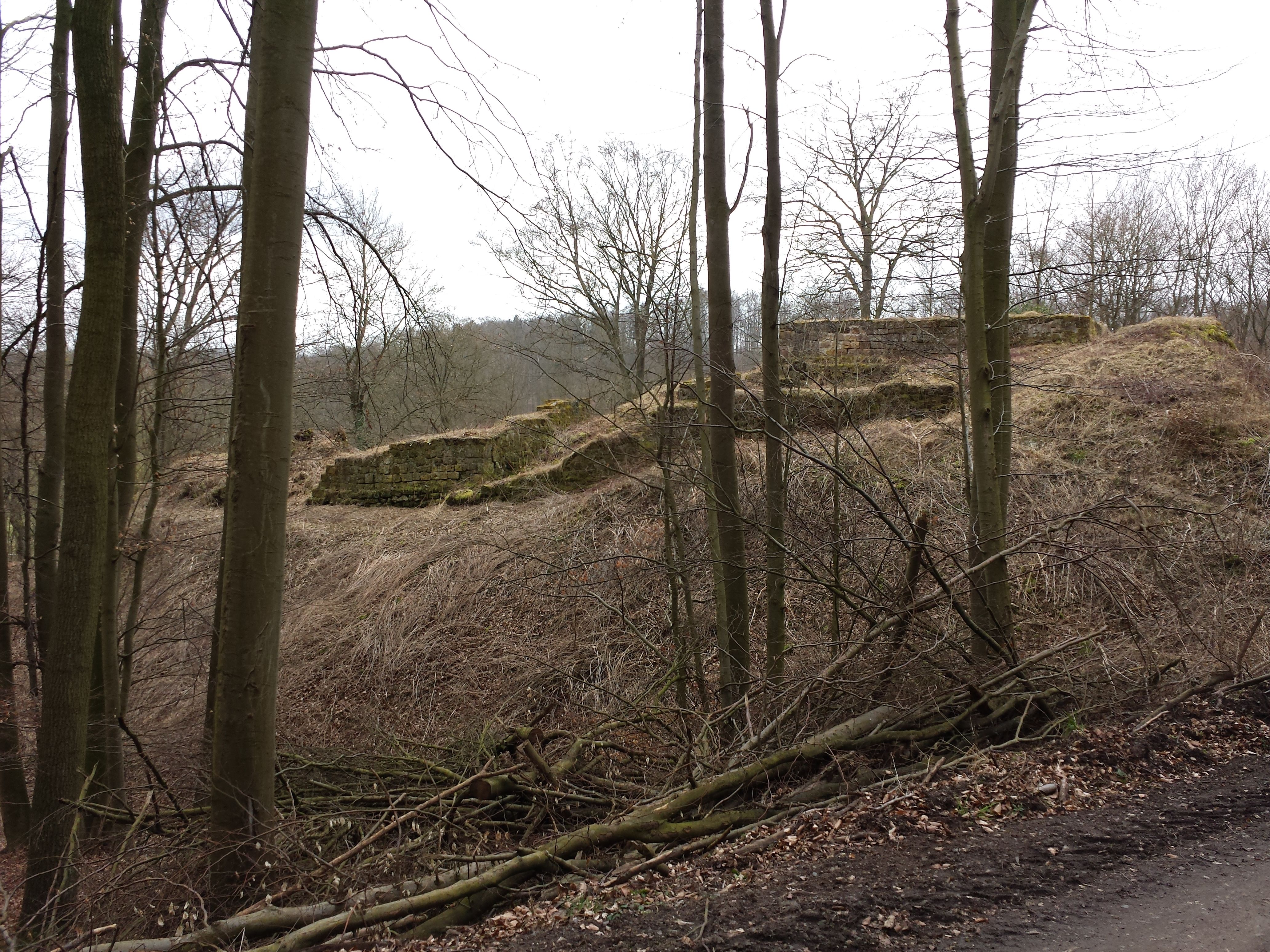 Burgruine Rodersen