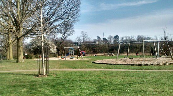 Bourne Park Reed Beds