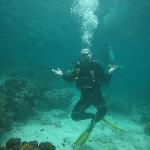 Pilgrandens Wardshus