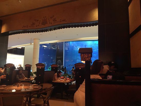 The Cheesecake Factory