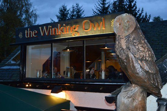 The Winking Owl