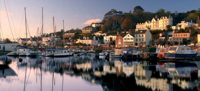 Salty Dog Bar & Bistro