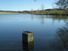 Guggenhauser Weiher