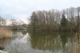 Lindenweiher