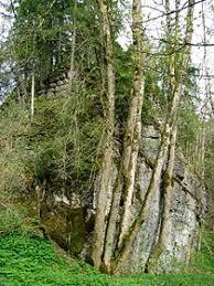 Burg Baltenstein