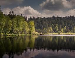 Notzenweiher