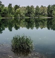Laghetto dei Riflessi