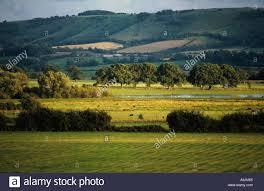 Amberley Wild Brooks