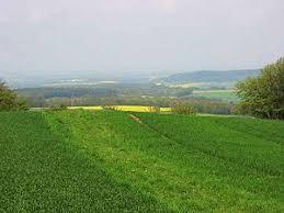 Herkelstein