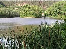 Herzogweiher