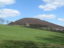 Der Wilzenberg