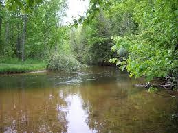 Betsie River