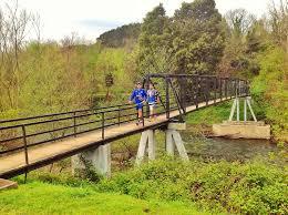 Área Natural de Especial Interés de la Viesca