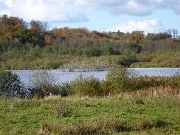 Hochfelder See