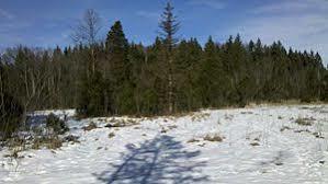 Hirschbühel