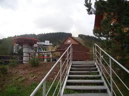 Dzikowiec Wielki