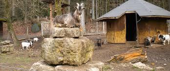 Wildgehege Waldshut e.V