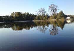 Selliner See